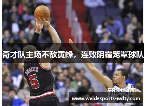 奇才队主场不敌黄蜂，连败阴霾笼罩球队