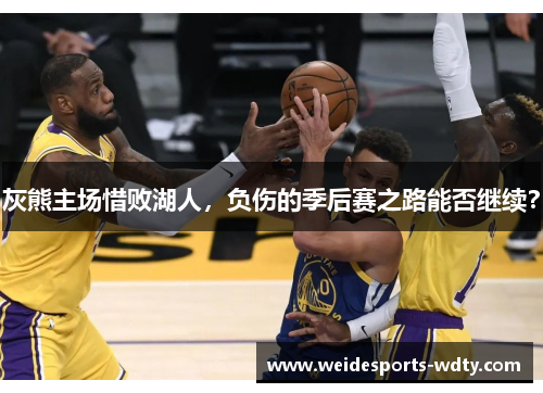 灰熊主场惜败湖人，负伤的季后赛之路能否继续？