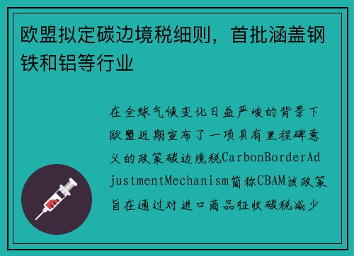 欧盟拟定碳边境税细则，首批涵盖钢铁和铝等行业